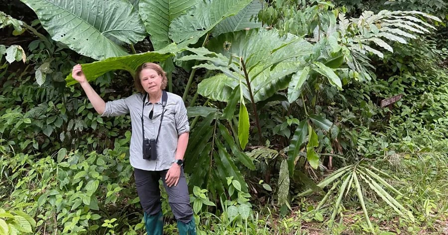 diabetes in het oerwoud